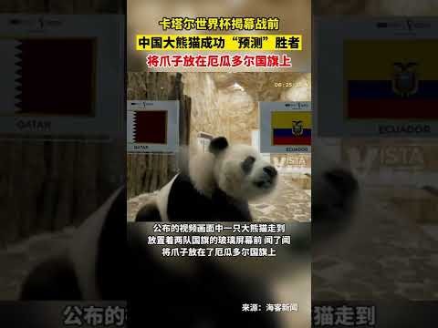 刘炜呼吁新,疆球员保持,冷静,世界杯,2023世界杯,世界杯赛程,世界杯热门球队,足球世界杯
